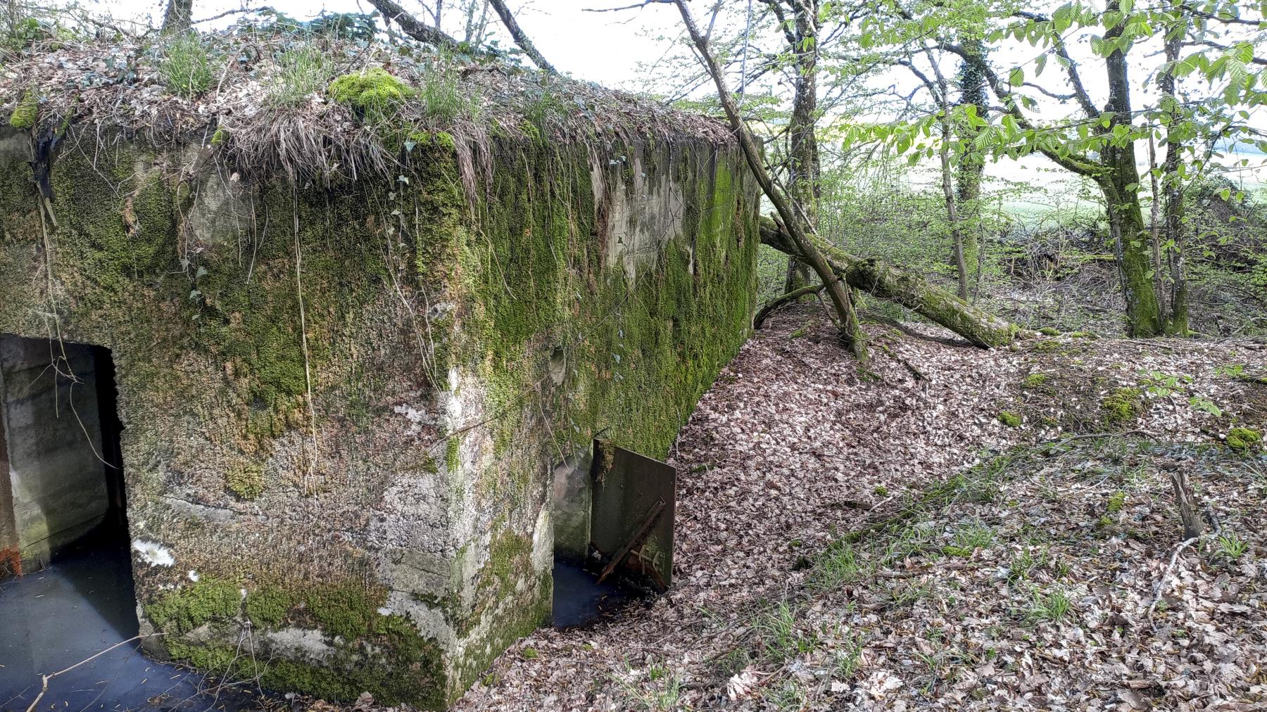 Ligne Maginot - CB205 - LONKICH 02 - (Blockhaus pour canon) - Les entrées - Marc Fossoul
