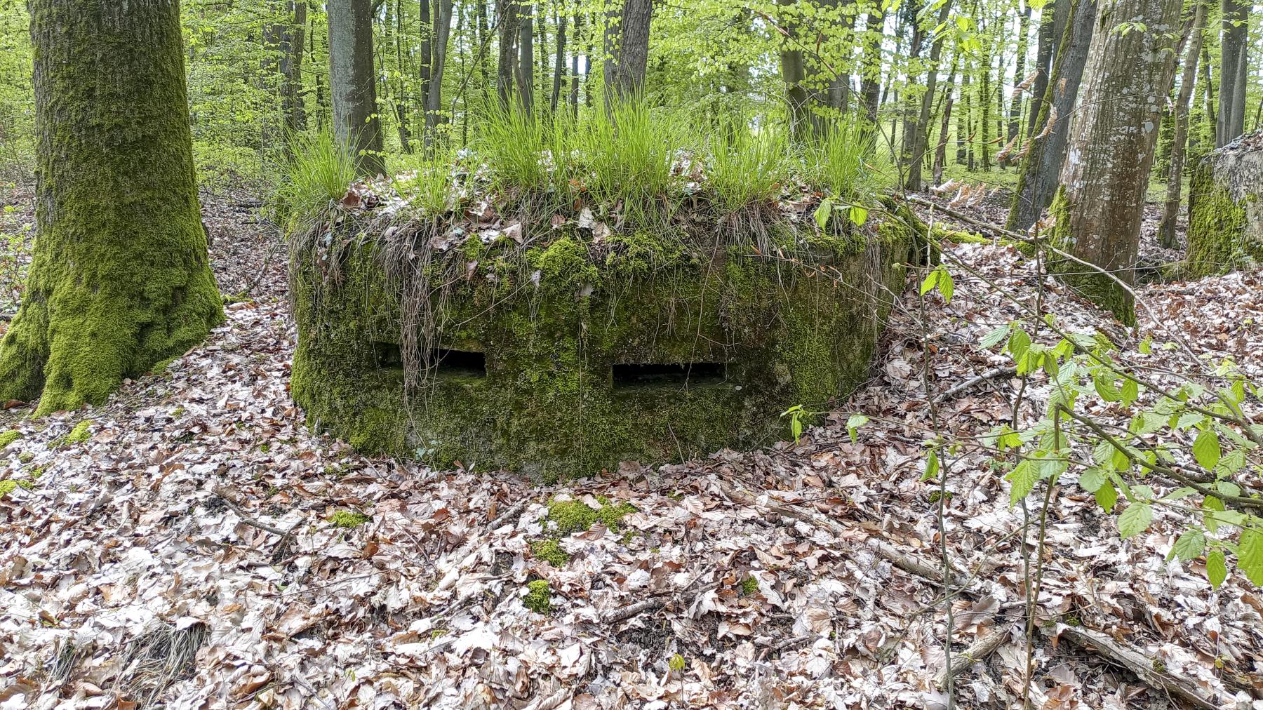Ligne Maginot - CB203BIS - OBERHEIDE 06 - (Observatoire d'artillerie) - Les fentes d'observation - Marc Fossoul