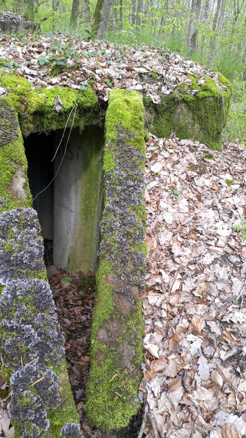 Ligne Maginot - CB203BIS - OBERHEIDE 06 - (Observatoire d'artillerie) - L'entrée - Marc Fossoul