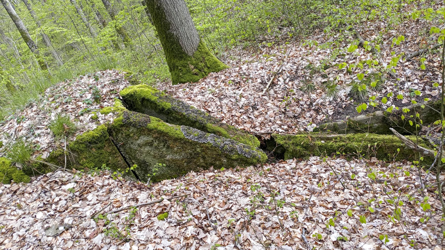Ligne Maginot - CB203BIS - OBERHEIDE 06 - (Observatoire d'artillerie) - Le tranchée d’accès - Marc Fossoul