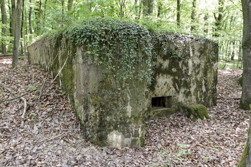 Ligne Maginot - CB203 - OBERHEIDE 05 - (Blockhaus pour arme infanterie) -  - Michel Teiten