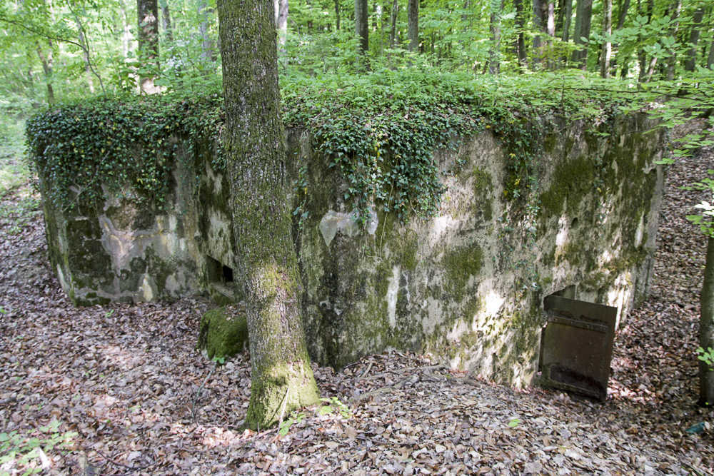 Ligne Maginot - CB203 - OBERHEIDE 05 - (Blockhaus pour arme infanterie) -  - Michel Teiten