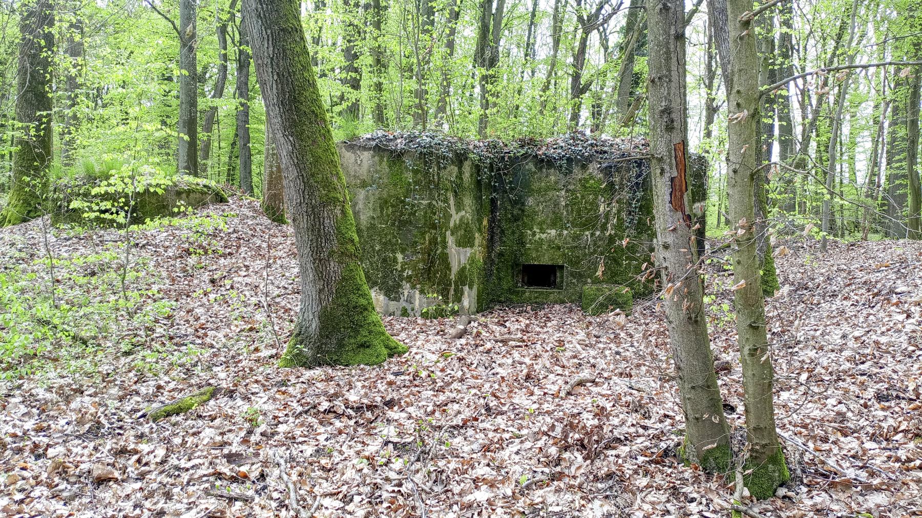 Ligne Maginot - CB203 - OBERHEIDE 05 - (Blockhaus pour arme infanterie) - Les deux blockhaus - Marc Fossoul