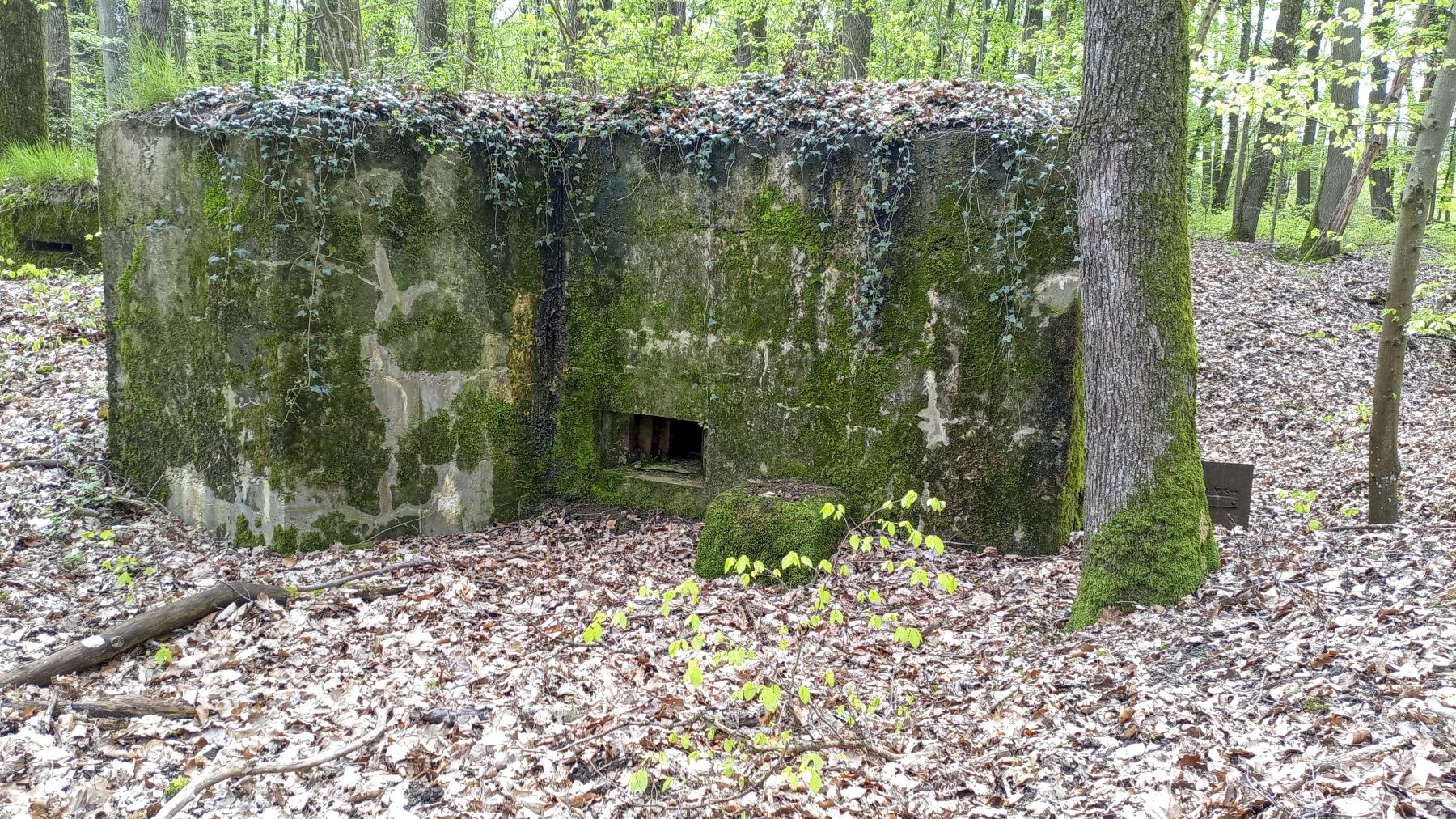 Ligne Maginot - CB203 - OBERHEIDE 05 - (Blockhaus pour arme infanterie) - La façade - Marc Fossoul