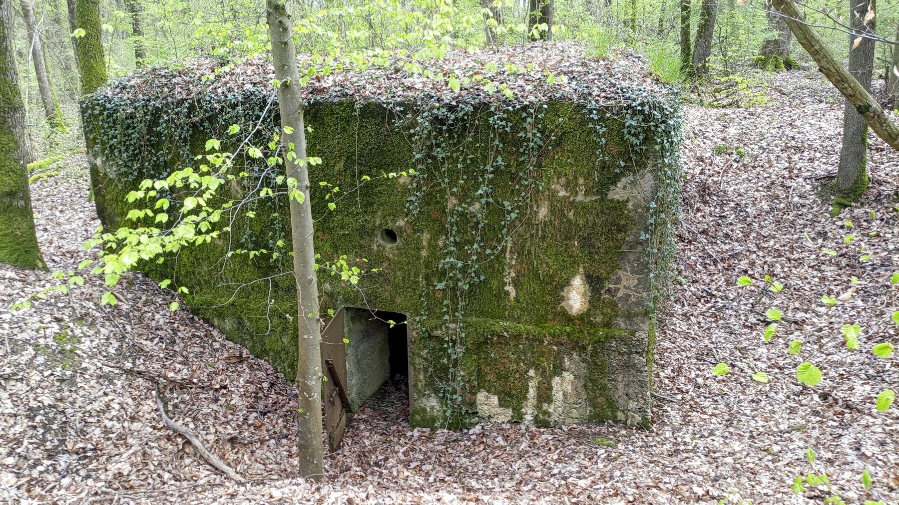 Ligne Maginot - CB203 - OBERHEIDE 05 - (Blockhaus pour arme infanterie) - L'entrée - Marc Fossoul