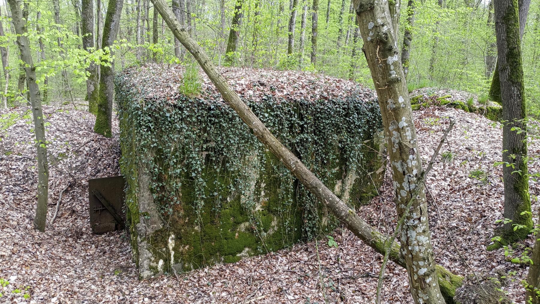 Ligne Maginot - CB203 - OBERHEIDE 05 - (Blockhaus pour arme infanterie) - La face arrière - Marc Fossoul