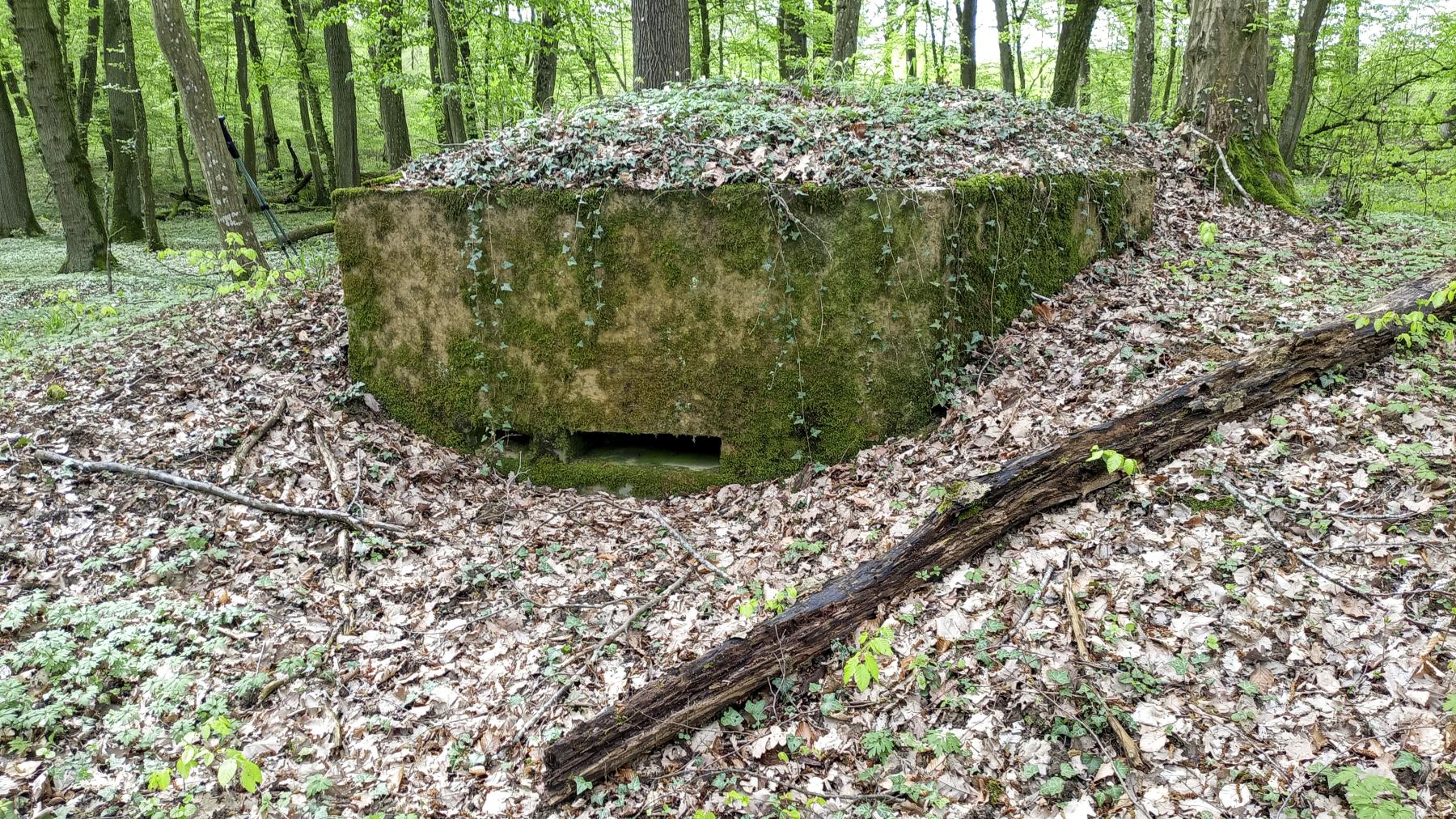 Ligne Maginot - OBERHEIDE - 116C - (Blockhaus pour arme infanterie) -  - Marc Fossoul