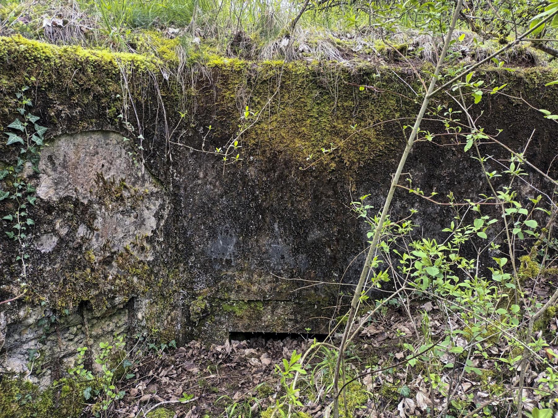 Ligne Maginot - BB304 - (Blockhaus pour arme infanterie) - La face avant - Vincent Vermeulen