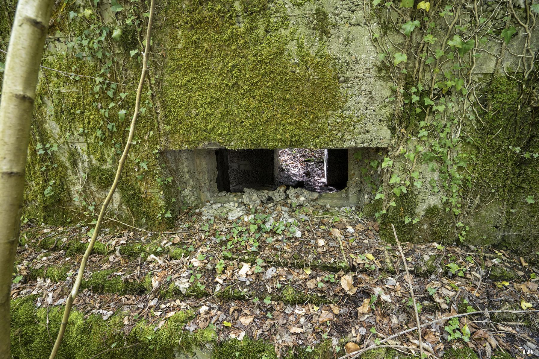 Ligne Maginot - BB349 - (Blockhaus pour arme infanterie) - Le créneau - Lia VERMEULEN