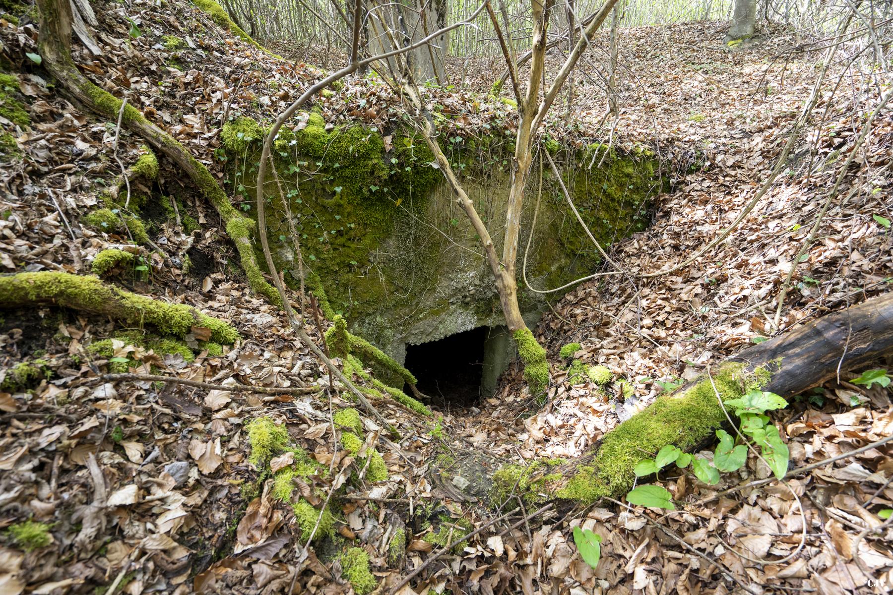 Ligne Maginot - BB349BIS - (Abri) - L'entrée - Lia VERMEULEN