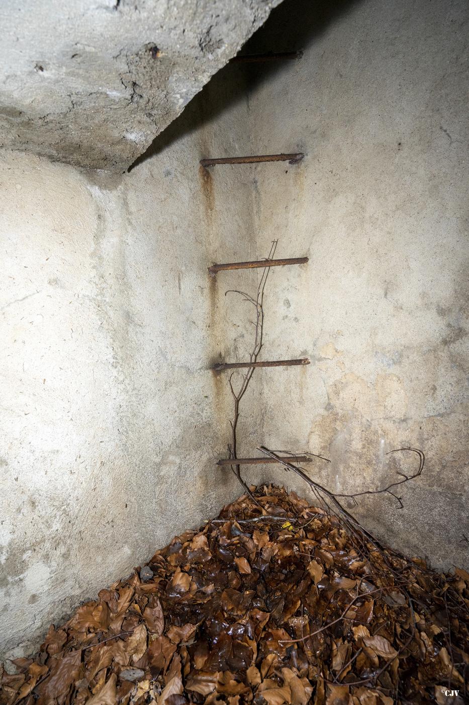 Ligne Maginot - BB349BIS - (Abri) - L'echelle - Lia VERMEULEN