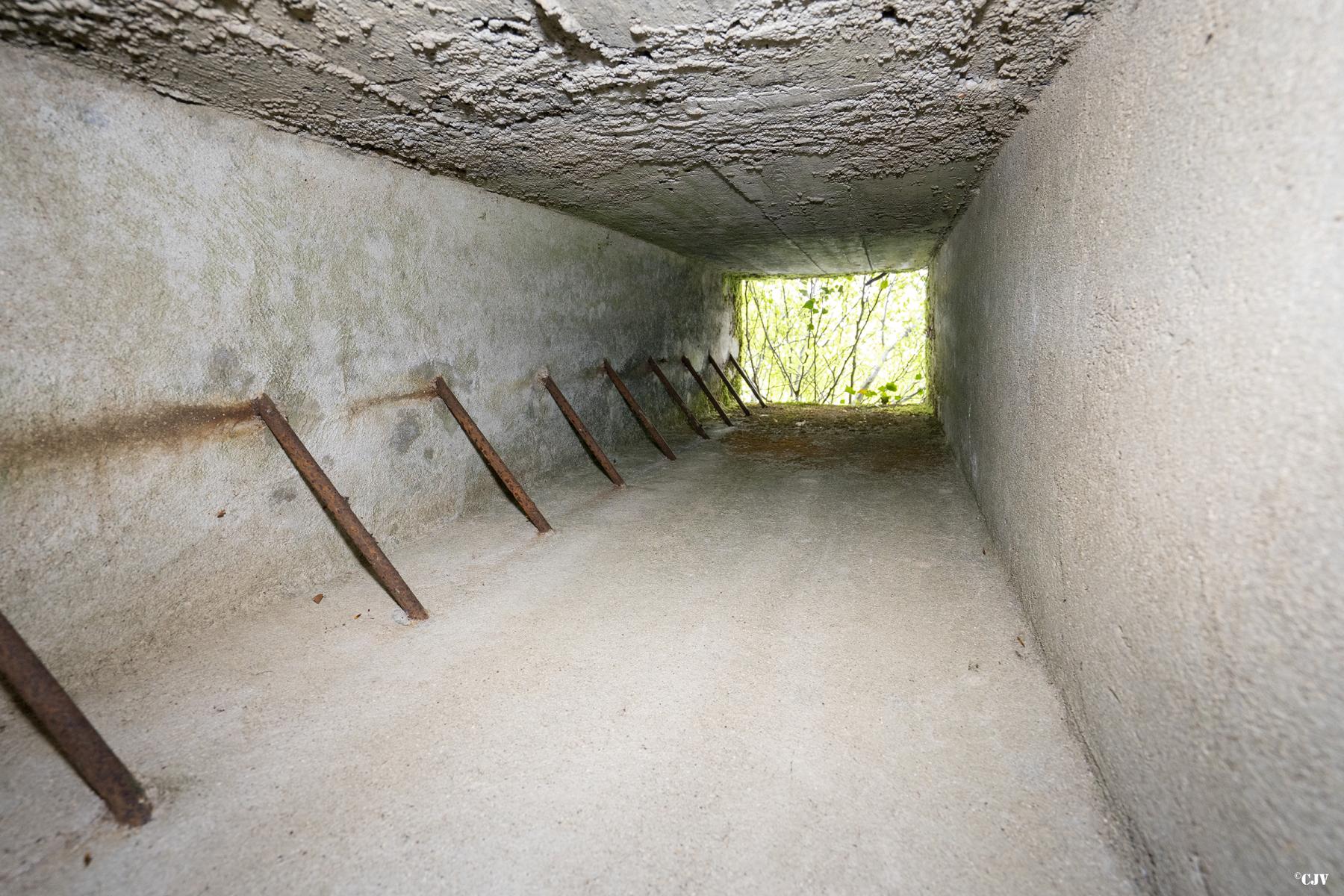 Ligne Maginot - BB349BIS - (Abri) - L'echelle - Lia VERMEULEN