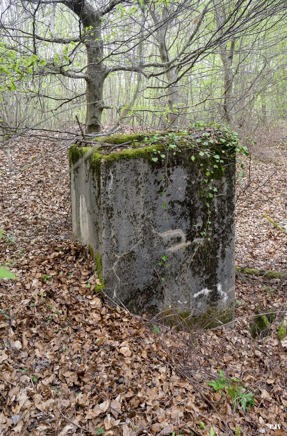 Ligne Maginot - BB349BIS - (Abri) - Le cheminée/issue de secours - Lia VERMEULEN