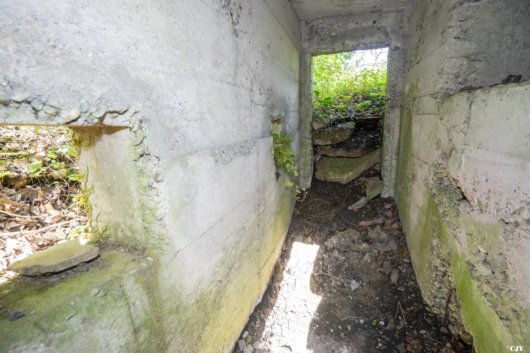 Ligne Maginot - BOIS DE LAUDREFANG NORD 2 - (Blockhaus pour arme infanterie) -  - Lia VERMEULEN