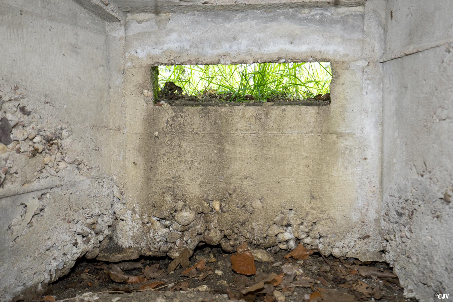 Ligne Maginot - BOIS DE LAUDREFANG NORD 2 - (Blockhaus pour arme infanterie) -  - Lia VERMEULEN