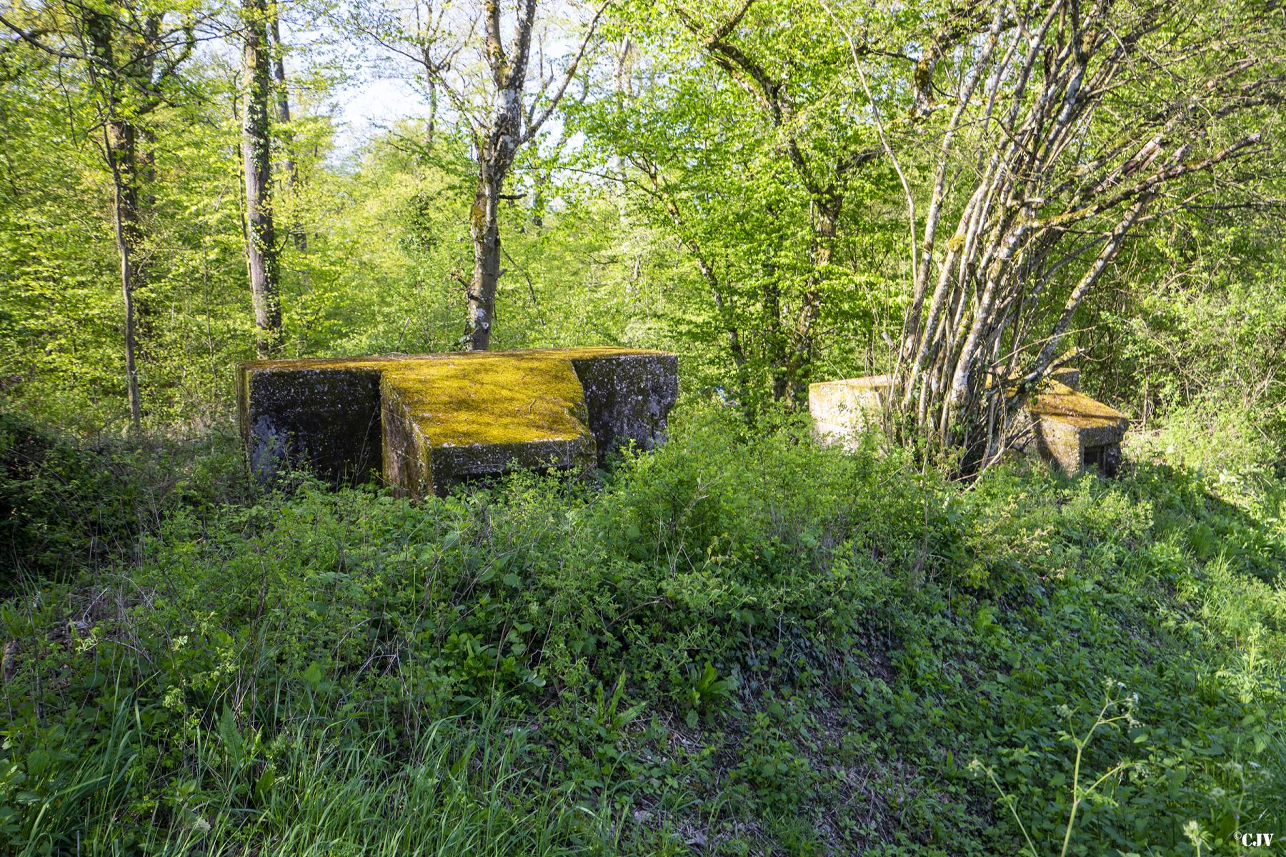 Ligne Maginot - BOIS DE LAUDREFANG NORD 3 - (Blockhaus pour arme infanterie) - Les deux blockhaus du Bois de Laudrefang Nord 3 et 4 - Lia VERMEULEN