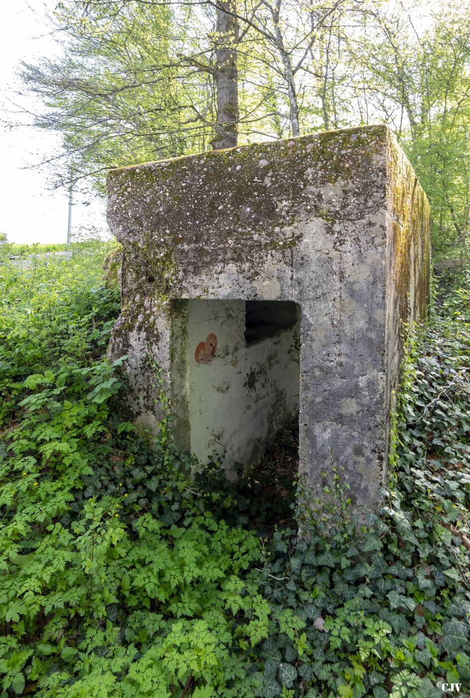 Ligne Maginot - BOIS DE LAUDREFANG NORD 3 - (Blockhaus pour arme infanterie) -  - Lia VERMEULEN