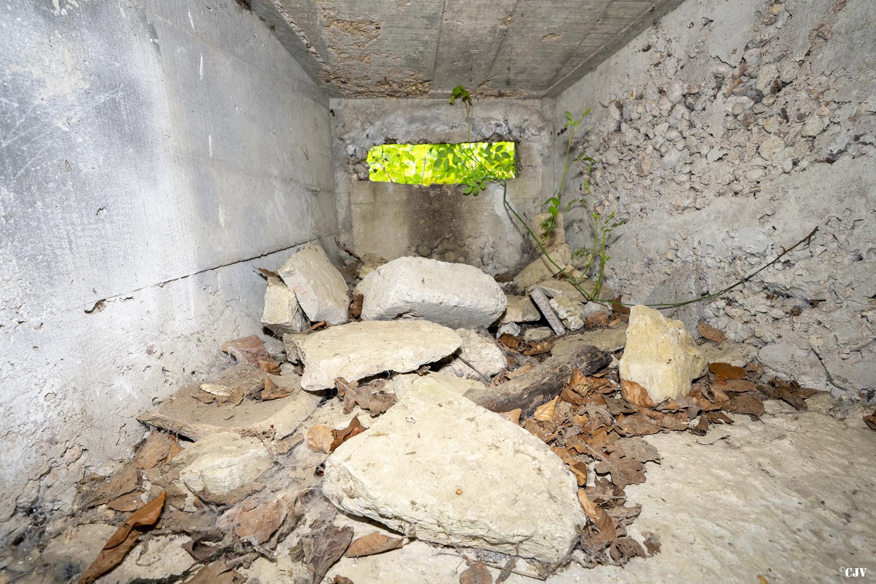 Ligne Maginot - BOIS DE LAUDREFANG NORD 3 - (Blockhaus pour arme infanterie) -  - Lia VERMEULEN