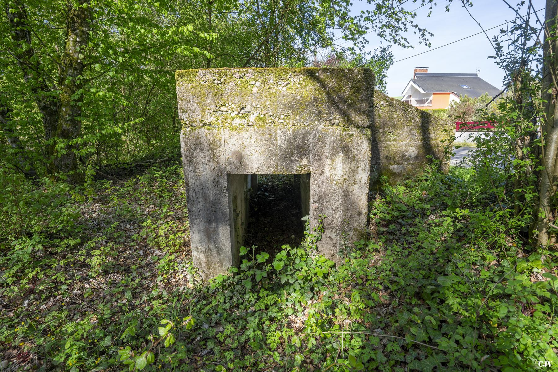 Ligne Maginot - BOIS DE LAUDREFANG NORD 4 - (Blockhaus pour arme infanterie) -  - Lia VERMEULEN