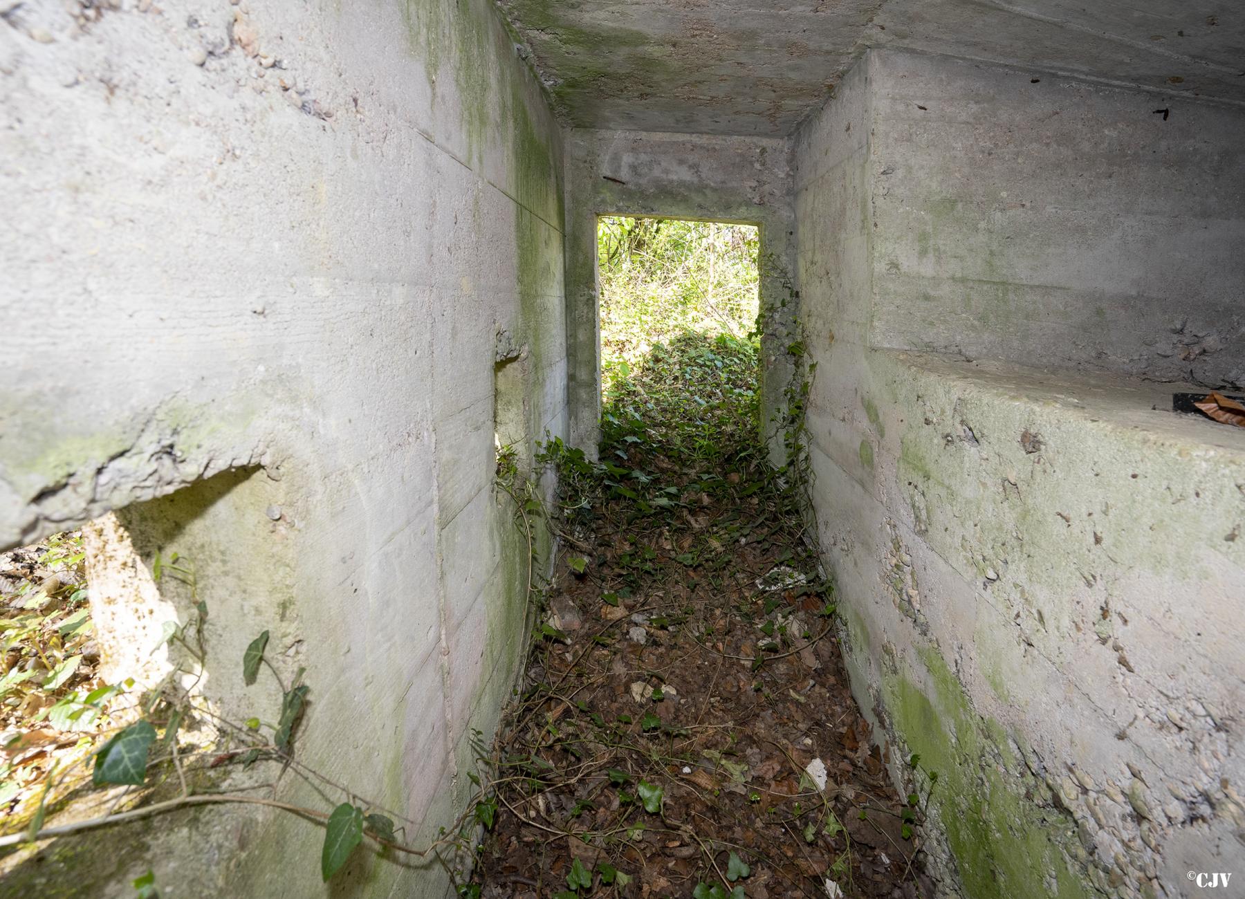 Ligne Maginot - BOIS DE LAUDREFANG NORD 4 - (Blockhaus pour arme infanterie) -  - Lia VERMEULEN