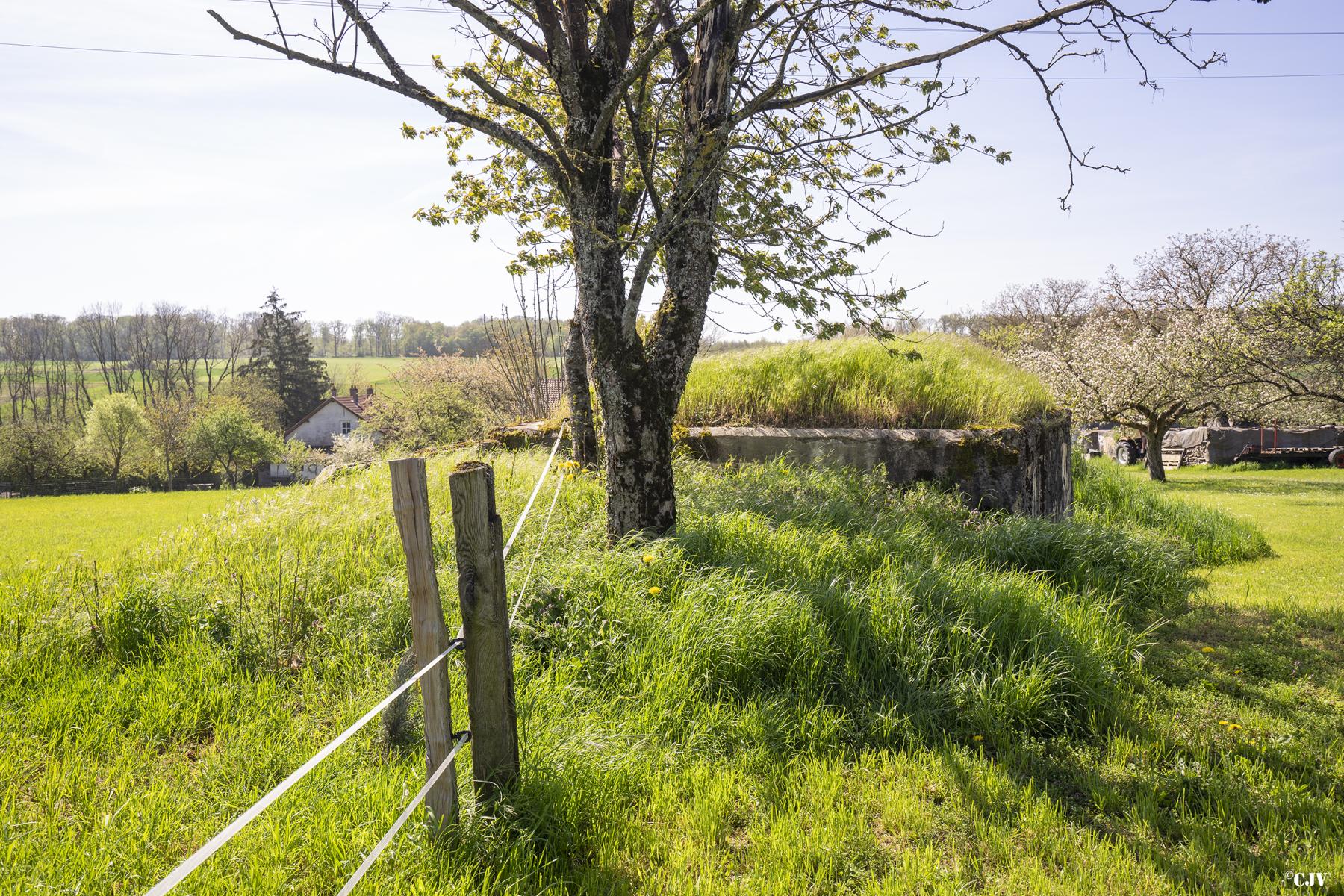 Ligne Maginot - CAMP DE ZIMMING 2 - (Blockhaus pour arme infanterie) - Le blockhaus est partiellement remblayé - Lia VERMEULEN