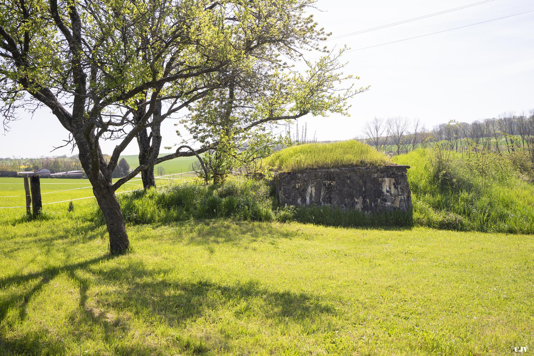 Ligne Maginot - CAMP DE ZIMMING 2 - (Blockhaus pour arme infanterie) - Le blockhaus est partiellement remblayé - Lia VERMEULEN
