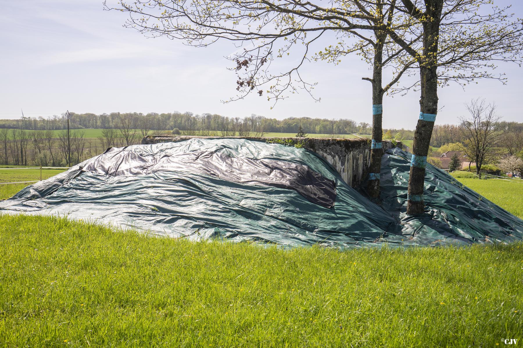 Ligne Maginot - CAMP DE ZIMMING 1 - (Blockhaus pour canon) - Le blockhaus est partiellement remblayé - Lia VERMEULEN