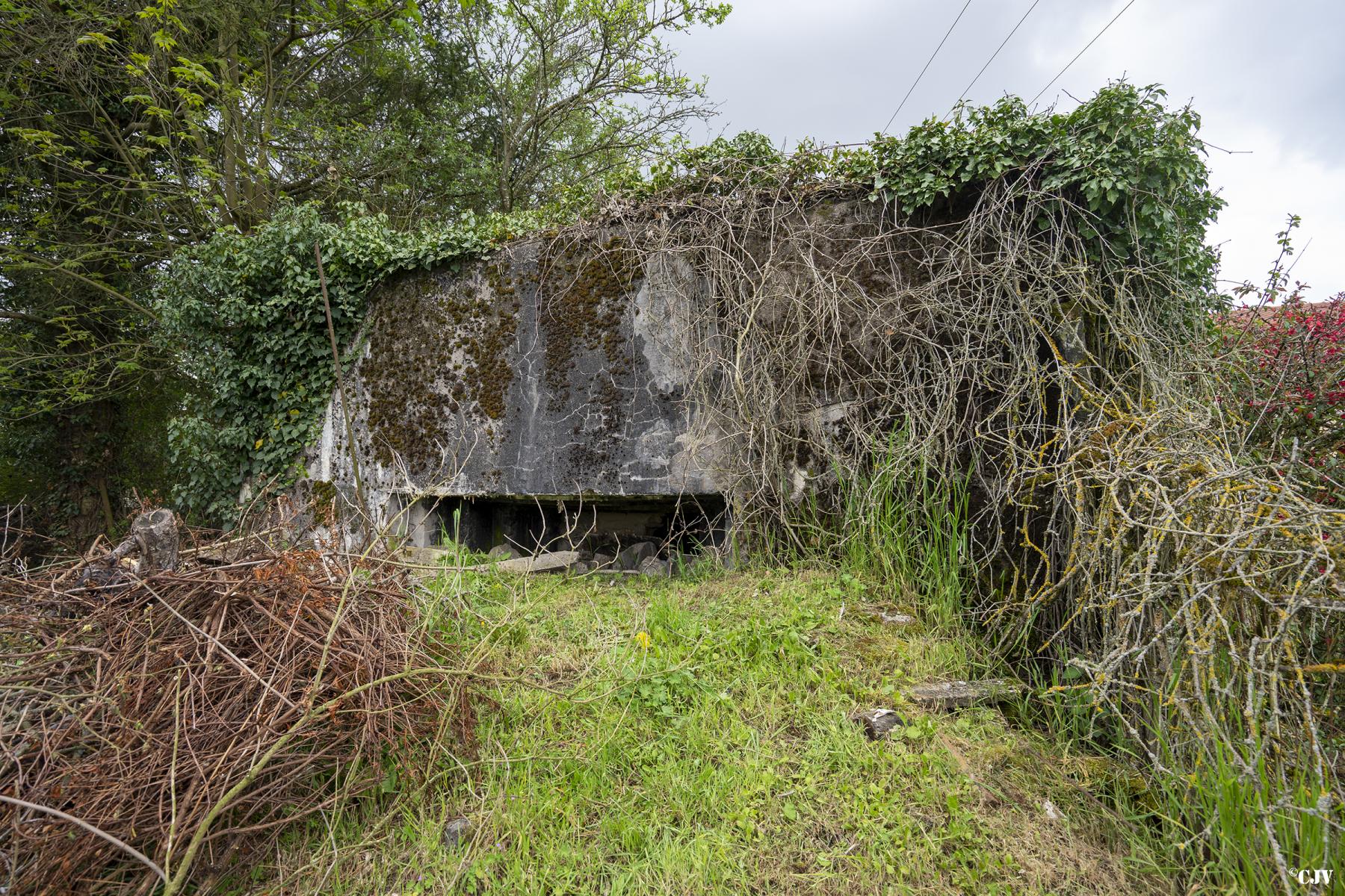 Ligne Maginot - BB356 - DALSTEIN EST - (Blockhaus pour arme infanterie) -  - Lia VERMEULEN