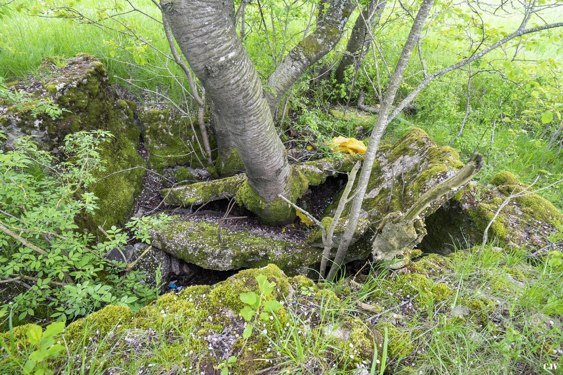Ligne Maginot - KNOPP 6 - (Blockhaus de type indéterminé) - Les ruines du blockhaus - Lia VERMEULEN