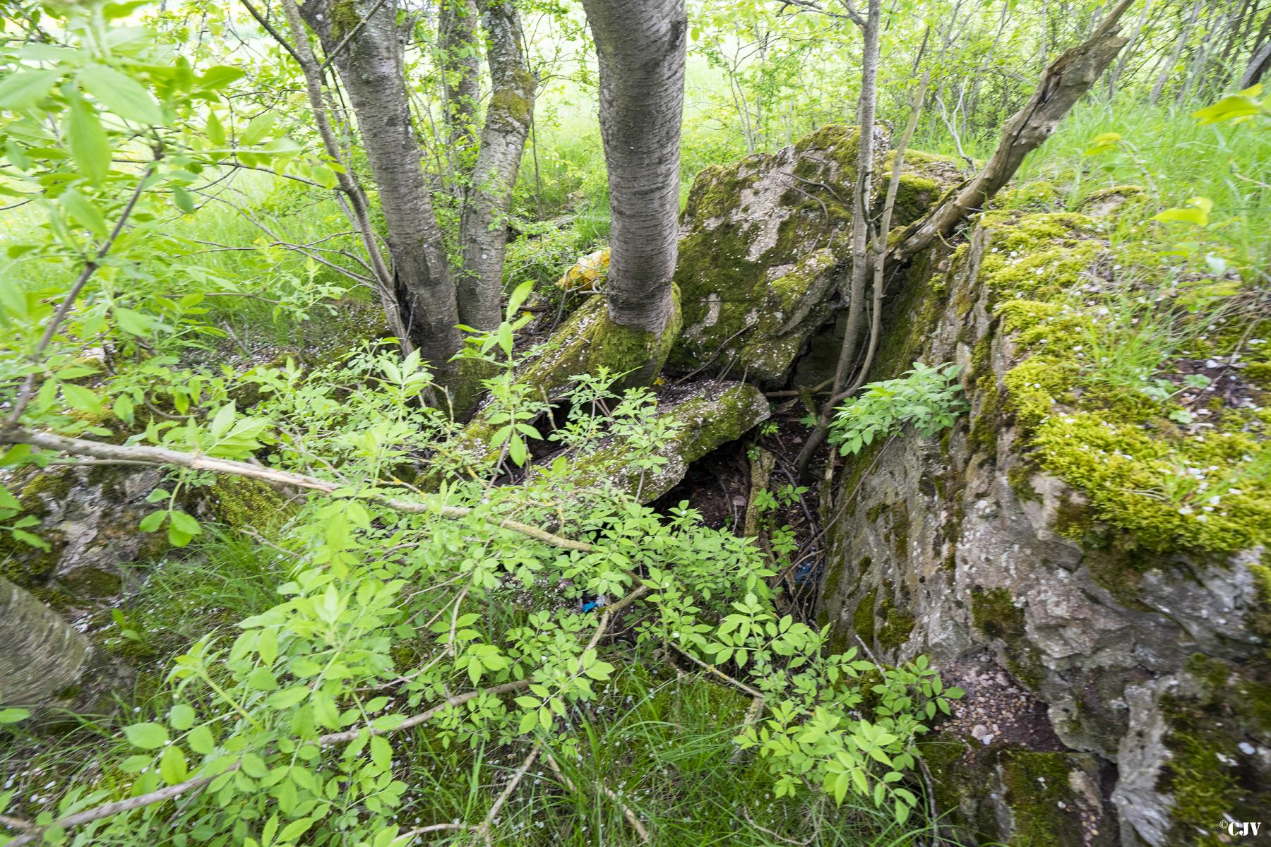 Ligne Maginot - KNOPP 6 - (Blockhaus de type indéterminé) - Les ruines du blockhaus - Lia VERMEULEN