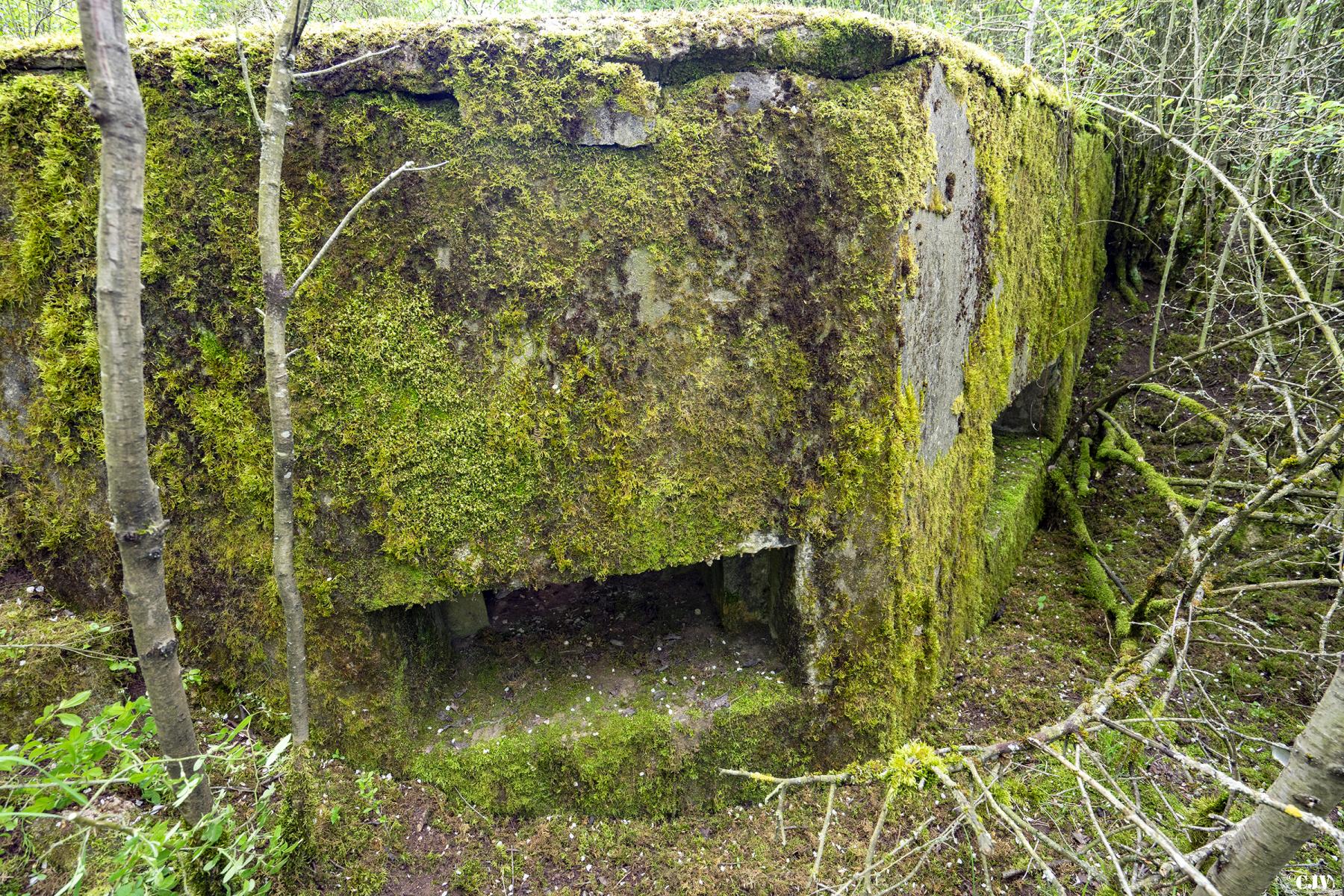 Ligne Maginot - M12B - KNOPP 3 - (Blockhaus pour arme infanterie) - La face avant - Lia VERMEULEN