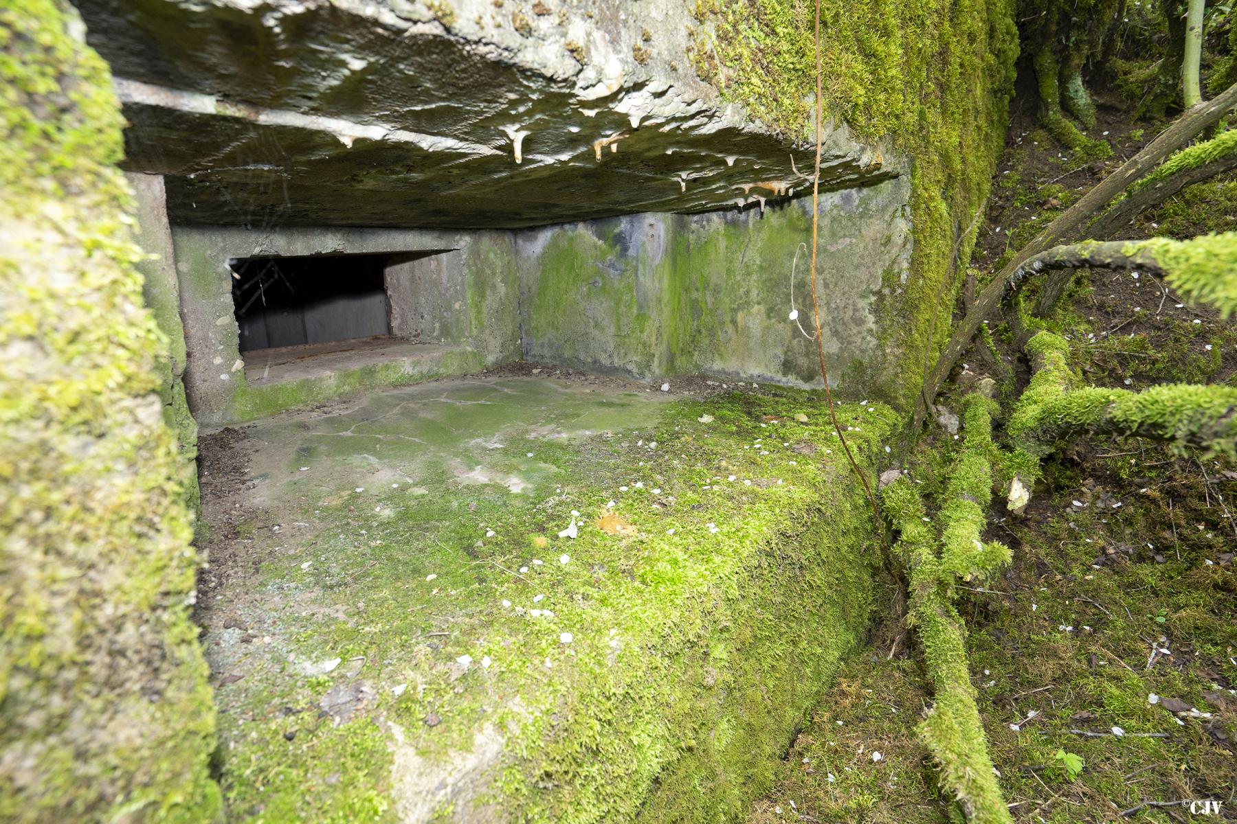 Ligne Maginot - M12B - KNOPP 3 - (Blockhaus pour arme infanterie) - Créneau mitrailleuse - Lia VERMEULEN