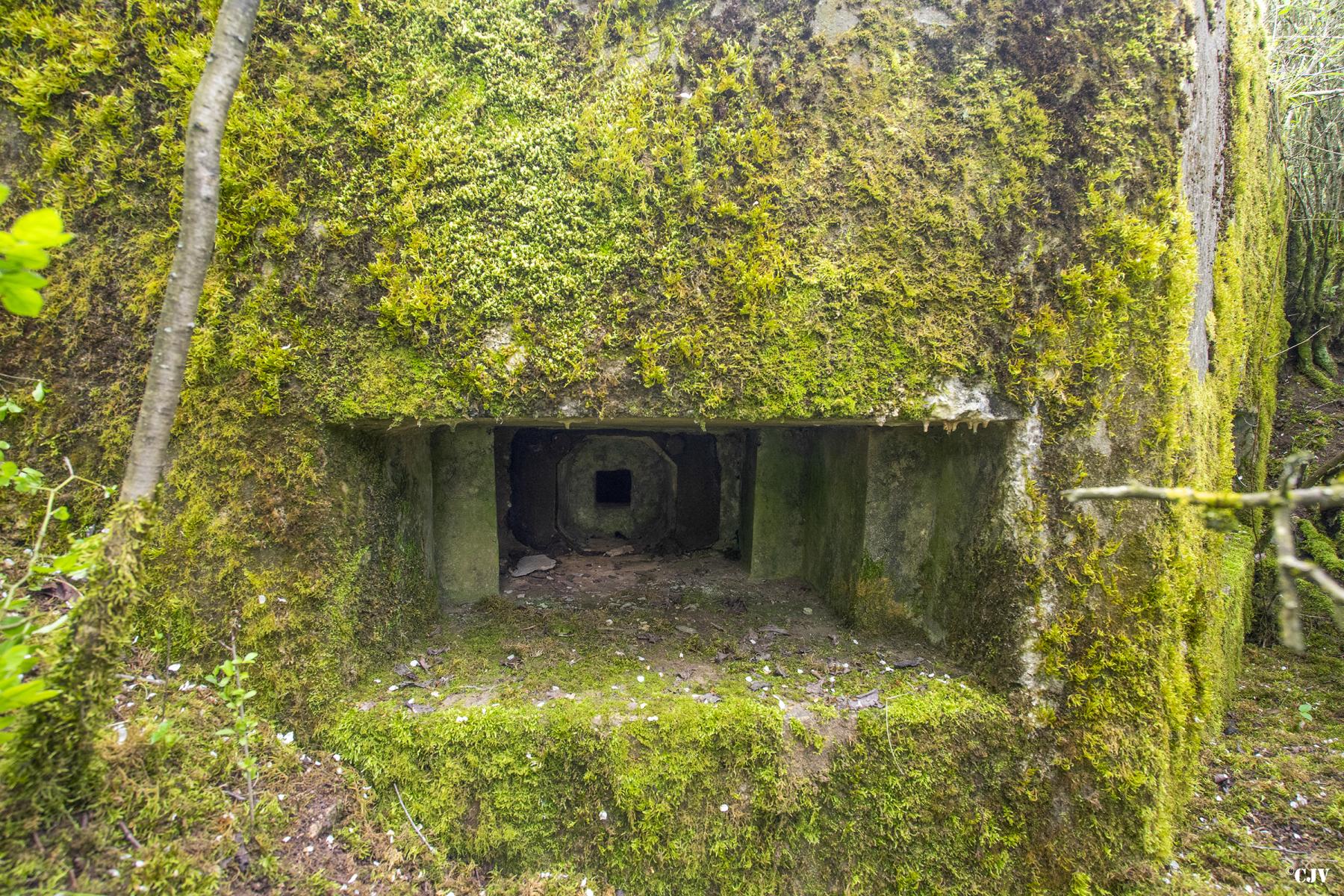 Ligne Maginot - M12B - KNOPP 3 - (Blockhaus pour arme infanterie) - Créneau FM - Lia VERMEULEN