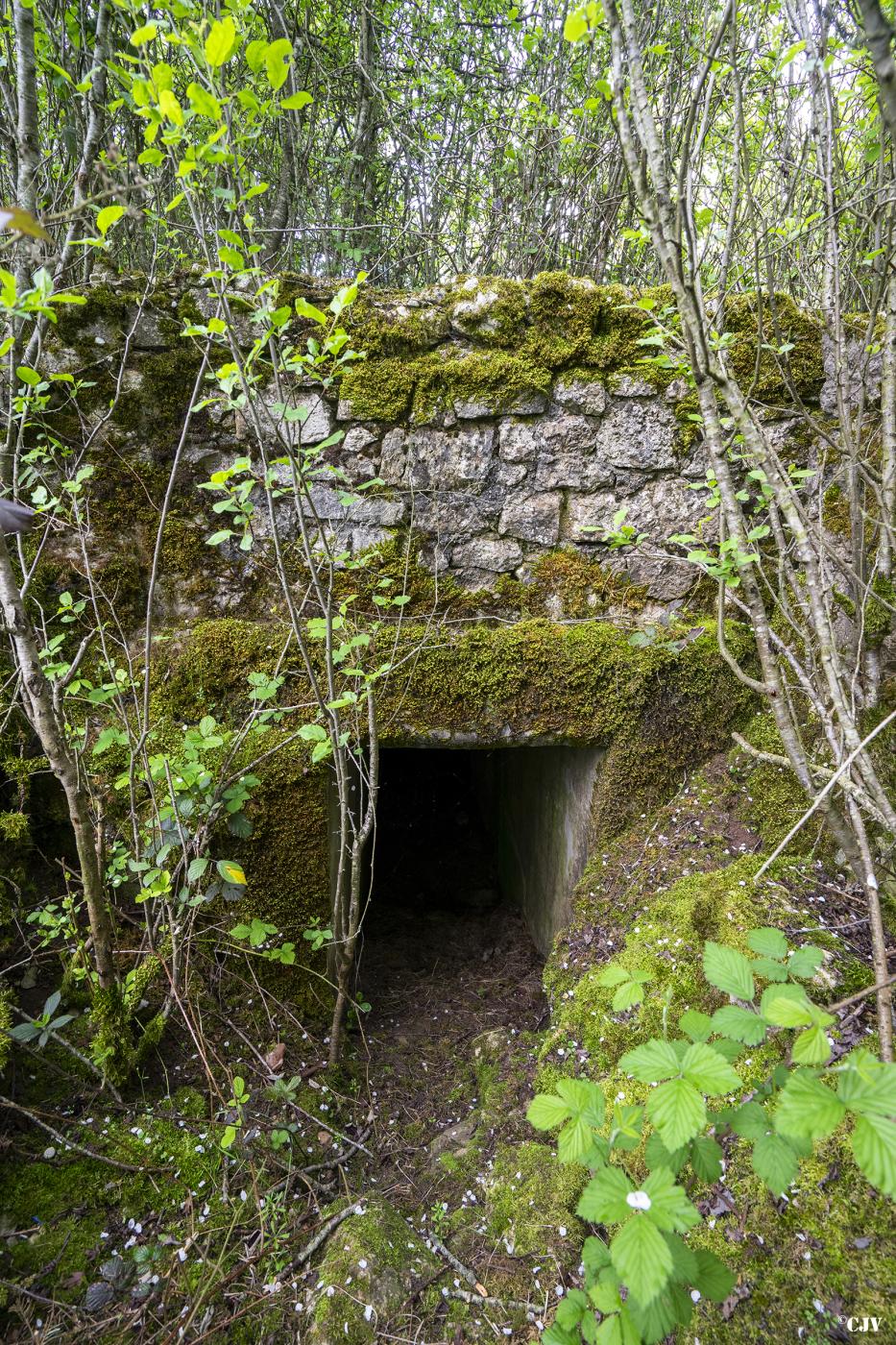 Ligne Maginot - M12B - KNOPP 3 - (Blockhaus pour arme infanterie) - L'entrée - Lia VERMEULEN