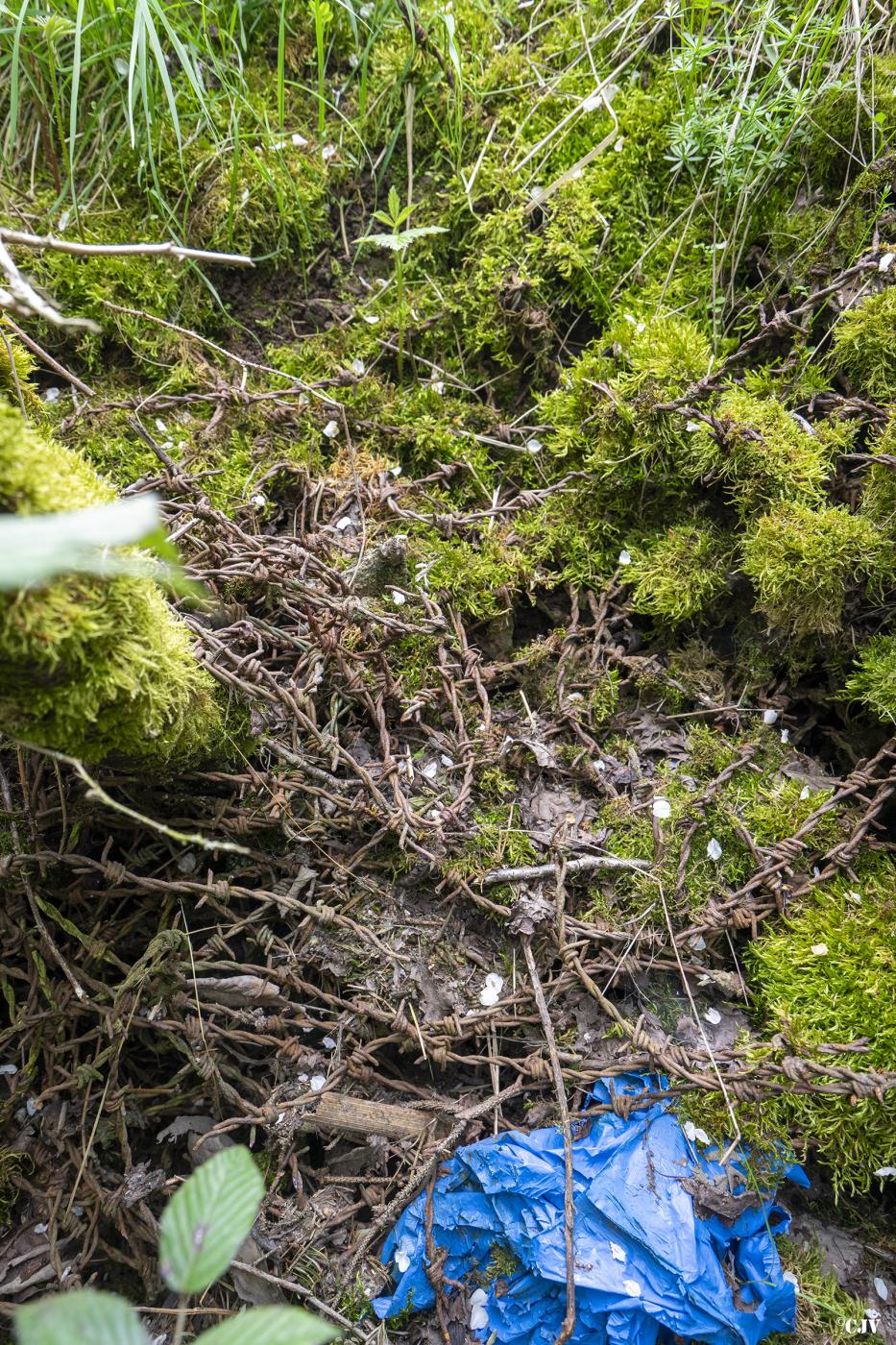 Ligne Maginot - M12B - KNOPP 3 - (Blockhaus pour arme infanterie) - Le tranchée - Lia VERMEULEN