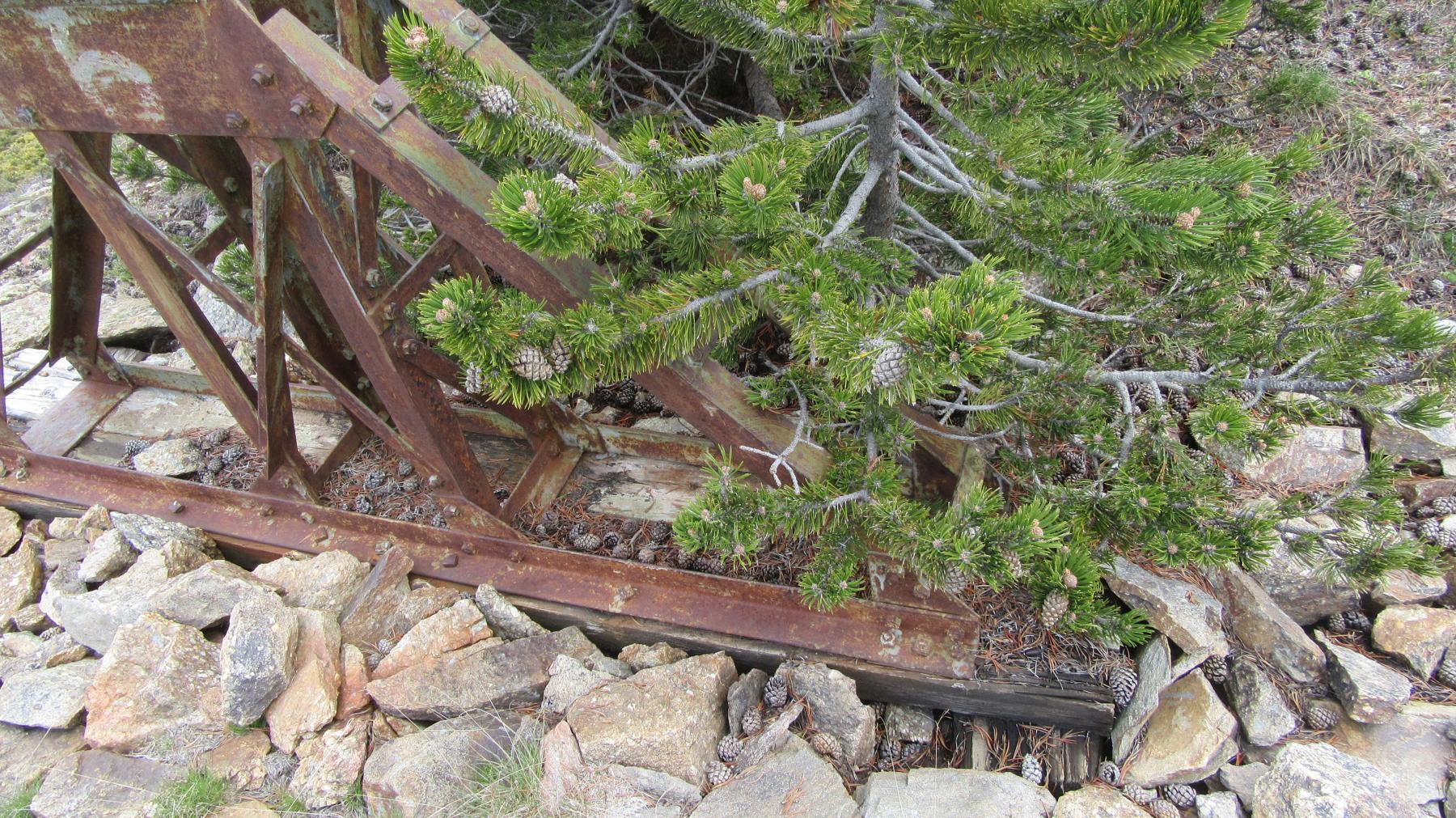 Ligne Maginot - TLFR - TéLéPHéRIQUE SAINT-CHAFFREY - GRANON - (RESEAU - Téléphérique (ligne)) - L'embase du pylône avec le n° 6 peint posée sur des poutres en bois avec pratiquement peu de fondation dans le sol    - Jean Berthier