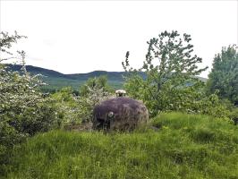 Ligne Maginot - LEMBACH - (Ouvrage d'infanterie) - Bloc 2
Cloche GFM est