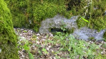 Ligne Maginot - CB225 - BOIS DE CATTENOM 03 - (Blockhaus pour arme infanterie) - Petit créneau 