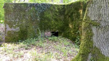 Ligne Maginot - CB286 - BOIS DE CATTENOM 04 - (Blockhaus pour canon) - La façade 
