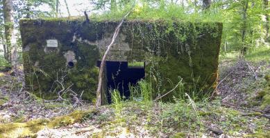 Ligne Maginot - CB286 - BOIS DE CATTENOM 04 - (Blockhaus pour canon) - L'entrée du matériel 