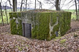 Ligne Maginot - CB286 - BOIS DE CATTENOM 04 - (Blockhaus pour canon) - Vue générale avec l'entrée du matériel