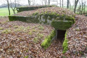 Ligne Maginot - CB225 - BOIS DE CATTENOM 03 - (Blockhaus pour arme infanterie) - L'entrée du blockhaus est par l'annexe