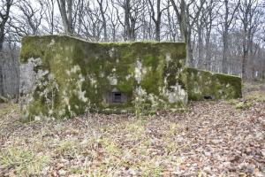 Ligne Maginot - CB225 - BOIS DE CATTENOM 03 - (Blockhaus pour arme infanterie) - Façade du créneau de tir