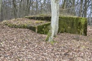 Ligne Maginot - CB225 - BOIS DE CATTENOM 03 - (Blockhaus pour arme infanterie) - 