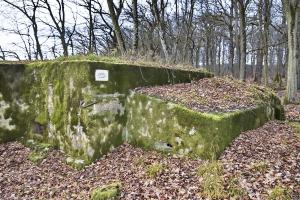 Ligne Maginot - CB225 - BOIS DE CATTENOM 03 - (Blockhaus pour arme infanterie) - 