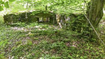 Ligne Maginot - CB224 - BOIS DE CATTENOM 06 - (Blockhaus pour canon) - 
