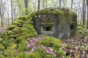 Ligne Maginot - FM39 - DIEBSKOPF 1 - (Blockhaus pour arme infanterie) - 