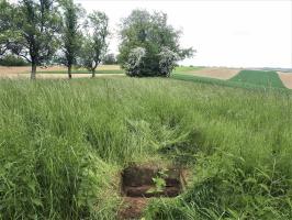 Ligne Maginot - BOIS DE HOFFEN - (Cuve pour canon) - La plateforme, à proximité immédiate du blockhaus Bois de Hoffen 1