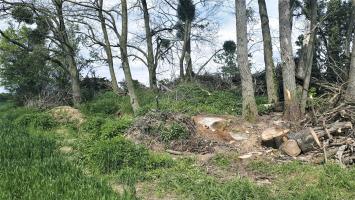 Ligne Maginot - REIMERSWILLER - (PC) - L'abri des transmissions remblayé