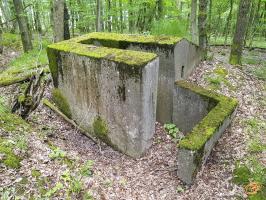 Ligne Maginot - TAUBRUNNENWALD 1 - (Blockhaus pour arme infanterie) - 